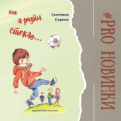 Как я разбил стекло... 1
